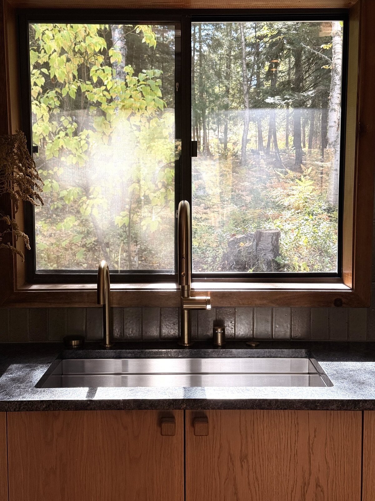 Kitchen sink beneath the forest window