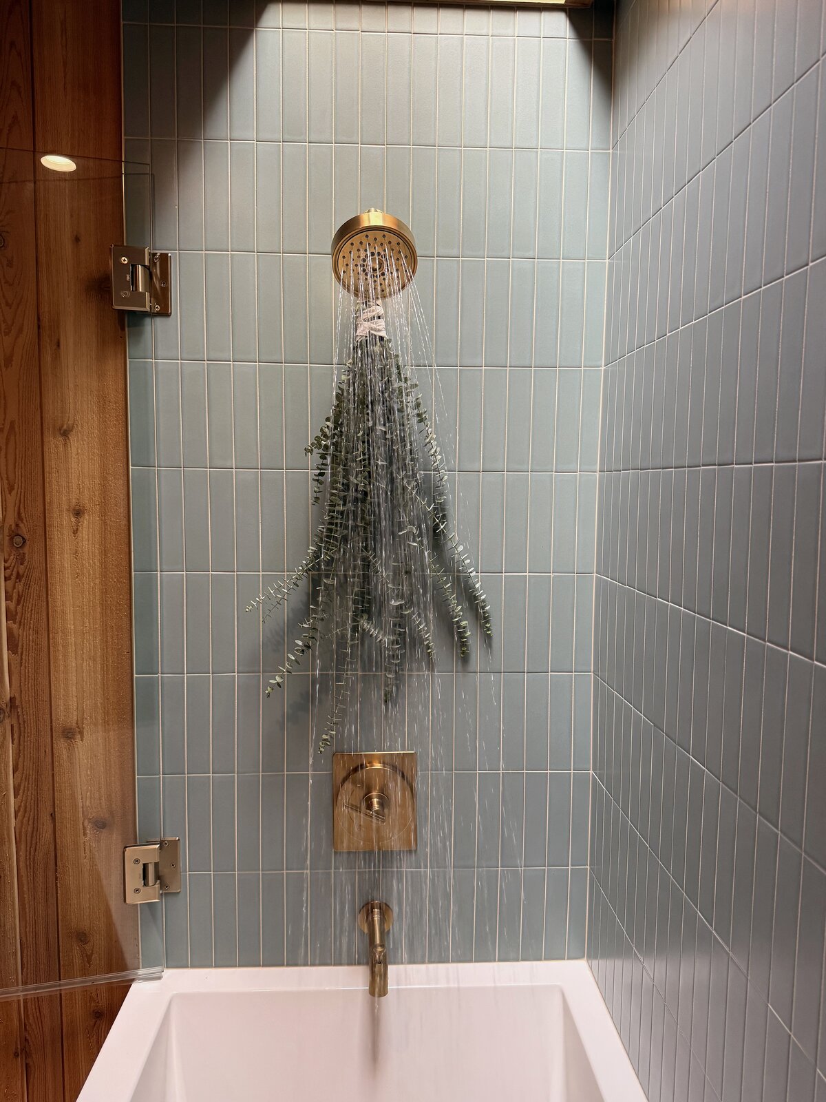 Rain shower with eucalyptus in the primary bathroom